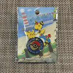 2026年最新】ポケモンセンター ピンズの人気アイテム - メルカリ