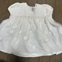 Item thumbnail for item 3055a6a9-a7b6-4b7c-bcba-e3f1f6c0931f