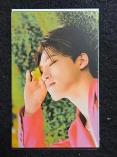 SEVENTEEN SECTOR17 ディノ　クリアフォトカード　トレカ