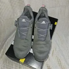 adidas ゴルフシューズ BOA グレー