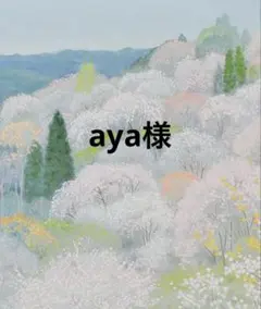 aya様　専用　説明必読