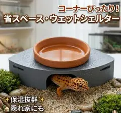コーナーぴったり角型ウェットシェルター レオパ対応 ワイド水皿のサムネイル