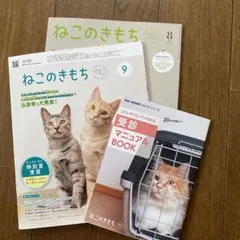 Item thumbnail for item 6d71e968-948c-40d6-862c-163adc28b22a