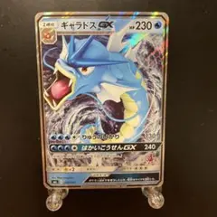 ギャラドスGX SML サン＆ムーン ファミリーポケモンカードゲーム 015
