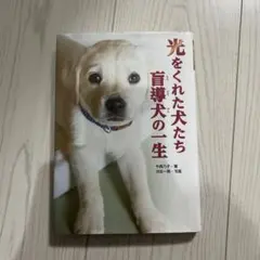 Item thumbnail for item 92f9aa2c-c0f9-4835-80d2-fc37bebb1c5d