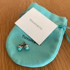 2025年最新】ティファニー ターコイズ ピアスの人気アイテム - メルカリ