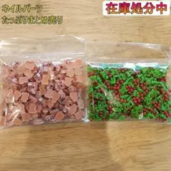 ネイルパーツ 大量まとめ売り 在庫処分セール 69gセット カピバラミックス