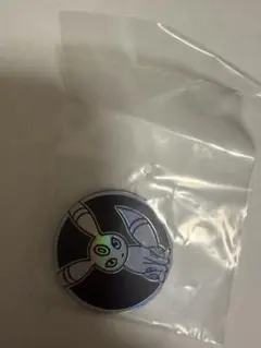 ざ*く様 ポケモン コイン ブラッキー