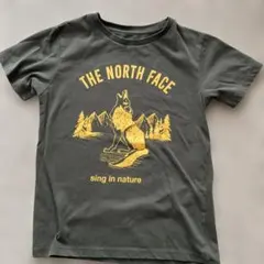The north face 子供 150cm Tシャツ