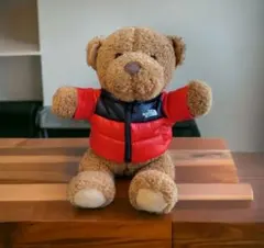 2025年最新】THE NORTH FACE おもちゃの人気アイテム - メルカリ