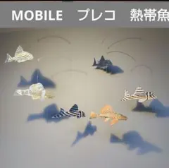 ＊ プレコ 熱帯魚 ＊ ６匹 モビール