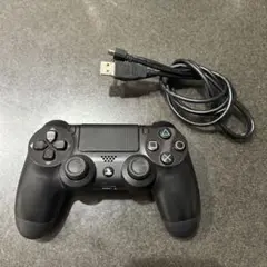 Item thumbnail for item 46c80633-b39d-4c6a-8f07-acad0666686e