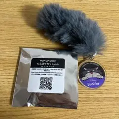 Item thumbnail for item 6fa9c1ad-fdfd-4198-89d3-19ac66f87960