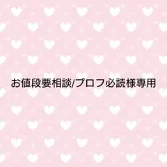 お値段要相談/プロフ必読様 リクエスト 2点 まとめ商品