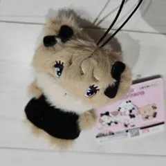 mikko characters BLACK RIBBON マスコット　ラテ