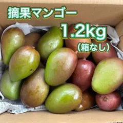 2026年最新】摘果マンゴーの人気アイテム - メルカリ
