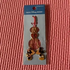 東京ディズニーリゾート ミッキー ミニー ペアストラップ