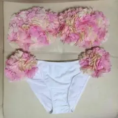 【売り切りセール】チュアンピサマイ 水着