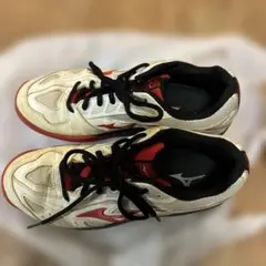 Mizuno テニスシューズ ホワイト/レッド