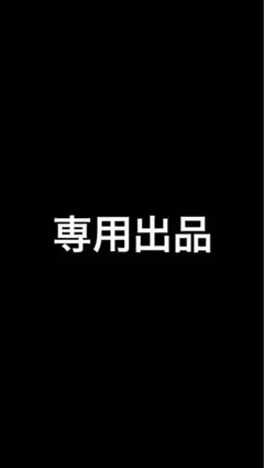 専用出品