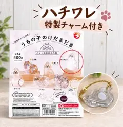 うちの子けだまだま 猫　ハチワレ　ガチャガチャ