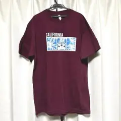 Item thumbnail for item ccd8d7ba-6f9a-4d40-967d-fb3243deee60