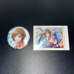 プロセカ MEIKO グリッター缶バッジ ぱしゃこれ セット売り