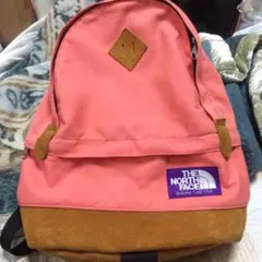 【美品】THE NORTH FACEノースフェイス パープルレーベル