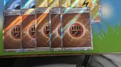 チャンピオン様用