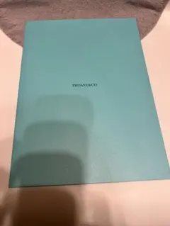 Item thumbnail for item 58736e57-3379-405a-94a5-acc0b928557c