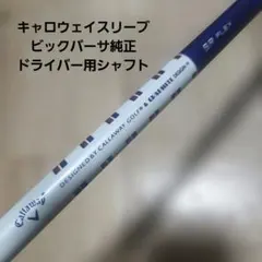 Item thumbnail for item 8c0f46b9-70c5-4d66-8033-9e8e43575171