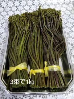 ●ラスト　令和 8年度、わらび塩漬け【細い】 1kg　青森県産のサムネイル
