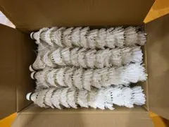 Item thumbnail for item 4bed8287-7949-456b-aec2-d4750e149b85