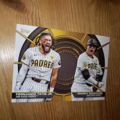Fernando Tatis Jr ぬいぐるみ フェルナンド タティス ジュニア フェルナンド・タティスJr. サンディエゴ パドレス フィギア San Diego