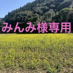 みんみ様専用ページです