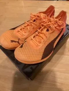 25.5cm PUMA　エヴォスピードディスタンス　ニトロエリート＋4