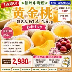 本州通常便込み【黄金桃】信州中野 約1.4〜1.5kg×1段 おまけ付のサムネイル