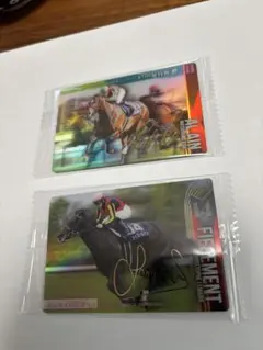 サラブレッドコレクション サイン入り