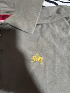 evisuポロシャツ