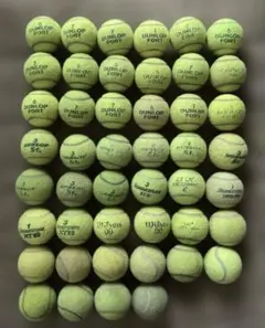 Item thumbnail for item ff548f73-95f4-435c-8c84-25d3c1132208