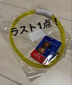 犬用 散歩ライト 首輪タイプ 大きめ 充電式 コード付き イエロー サイズ調整可のサムネイル