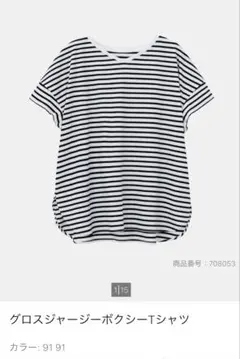 PLST まとめ売り　おまけつきのサムネイル