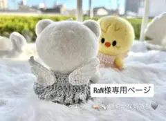 RaN様専用ページ『天使』