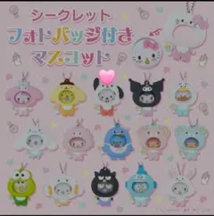 サンリオキャラクターズフォトバッジマスコットポチャッコ