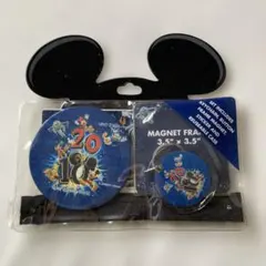 未開封　ディズニーワールド　２０１０　缶バッジ　キーホルダーなどセット　WDW