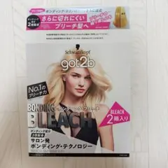got2b ゴットゥービー ボンディングブリーチ ※２箱入りのサムネイル