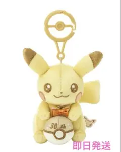 30周年記念 ピカチュウ マスコット&ぬいぐるみセット