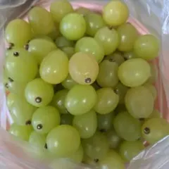 【専用外します】にゃんたろう様専用