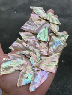 アワビ貝　沖縄県のアワビ貝　30枚セット　螺鈿細工　ハンドクラフト　素材　お得