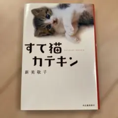 すて猫カテキン 新美敬子 写真集